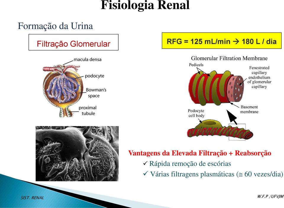 Filtração + Reabsorção Rápida remoção de