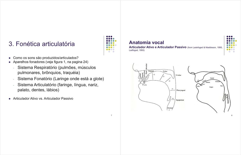 Aparelhos fonadores (veja figura 1, na pagina 24) - Sistema Respiratório (pulmões, músculos pulmonares, brônquios,