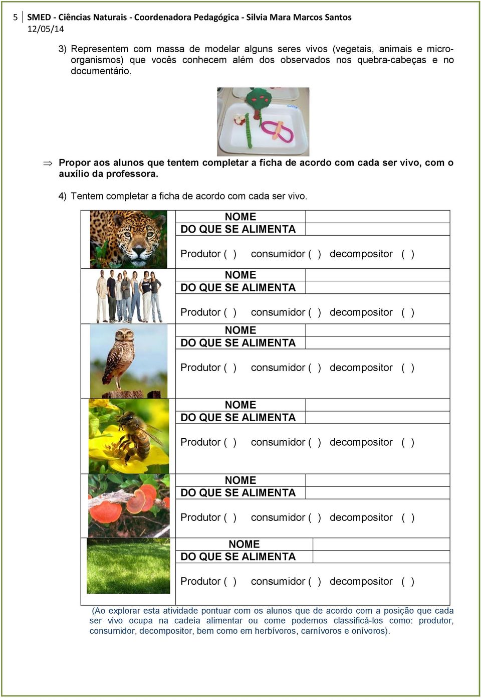 4) Tentem completar a ficha de acordo com cada ser vivo.