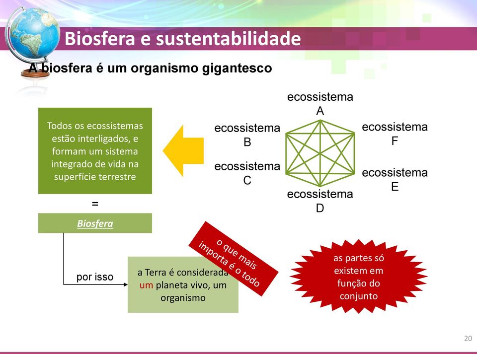 ecossistema C ecossistema A ecossistema D ecossistema F ecossistema E por isso a