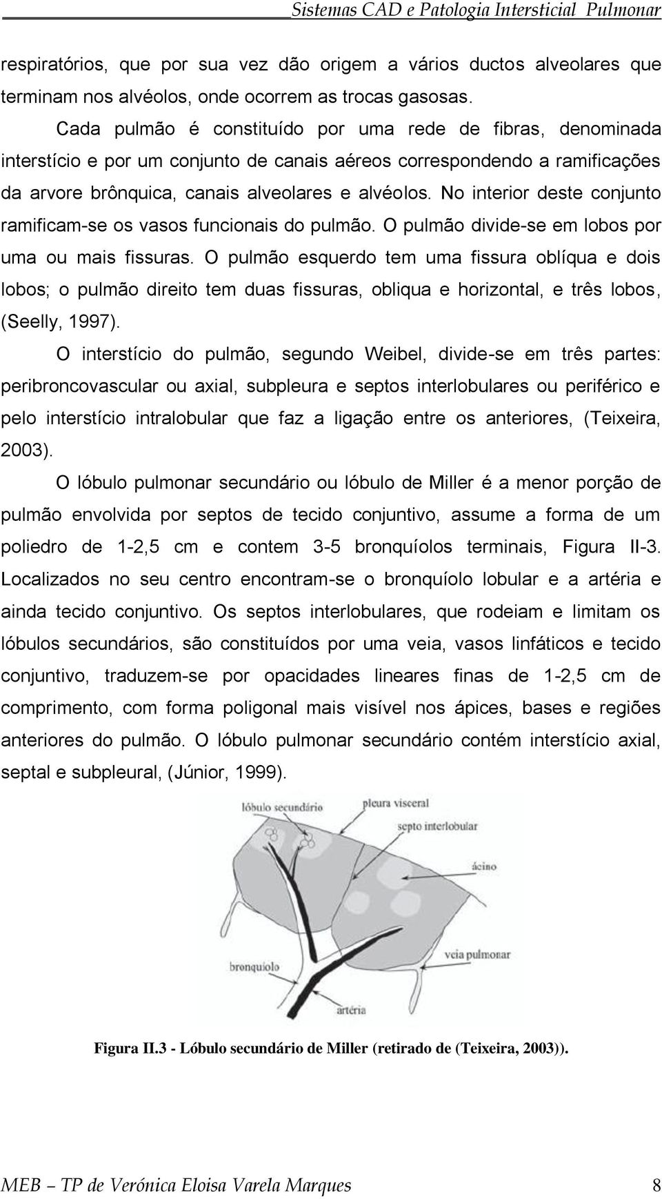 No interior deste conjunto ramificam-se os vasos funcionais do pulmão. O pulmão divide-se em lobos por uma ou mais fissuras.