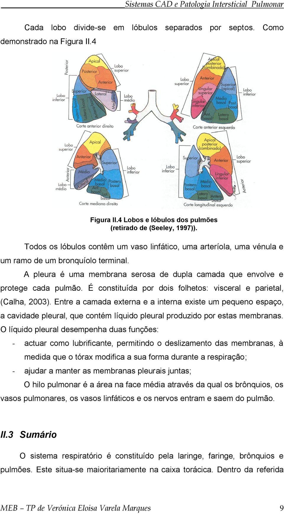 A pleura é uma membrana serosa de dupla camada que envolve e protege cada pulmão. É constituída por dois folhetos: visceral e parietal, (Calha, 2003).