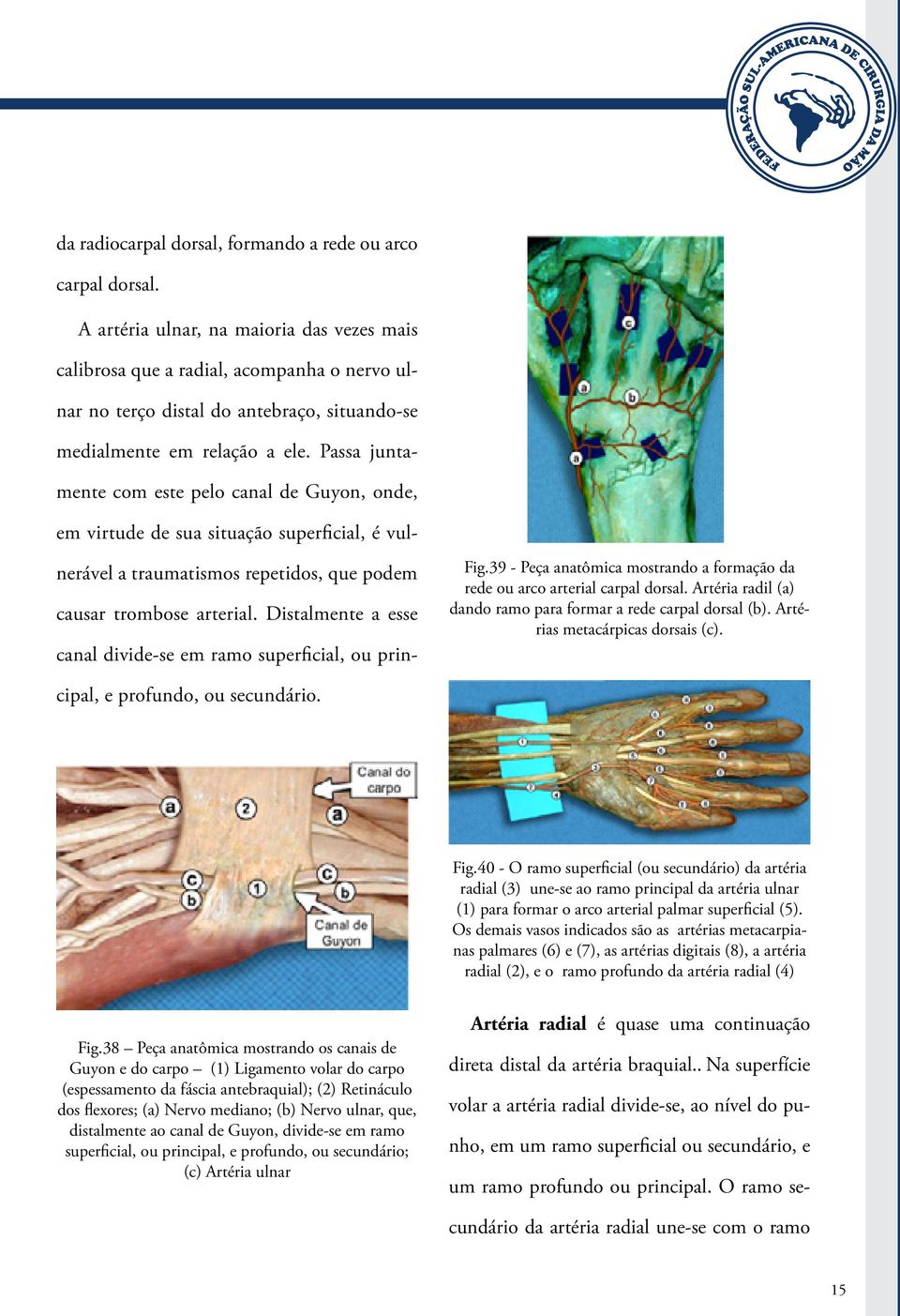 Passa juntamente com este pelo canal de Guyon, onde, em virtude de sua situação superficial, é vulnerável a traumatismos repetidos, que podem causar trombose arterial. Distalmente a esse Fig.