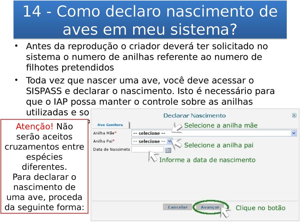 vez que nascer uma ave, você deve acessar o SISPASS e declarar o nascimento.