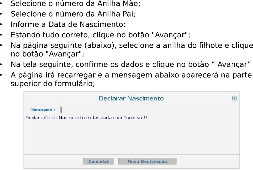 selecione a anilha do filhote e clique no botão "Avançar"; Na tela seguinte, confirme os dados