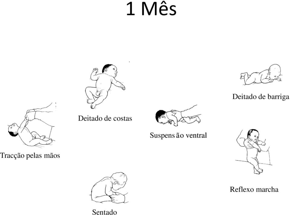 ã o ventral Tracção pelas