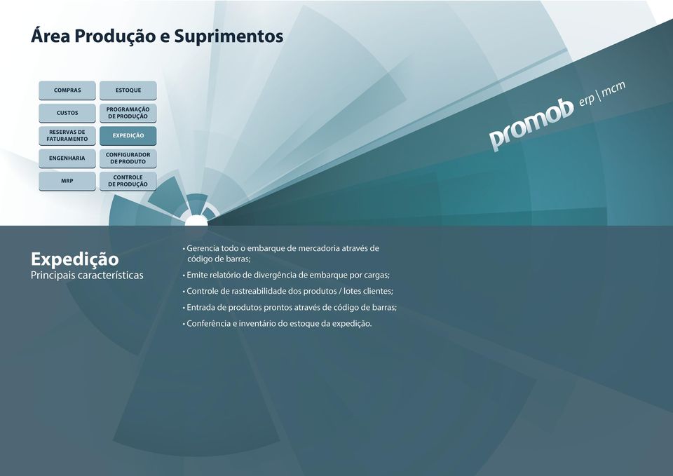 relatório de divergência de embarque por cargas; Controle de rastreabilidade dos produtos / lotes clientes;