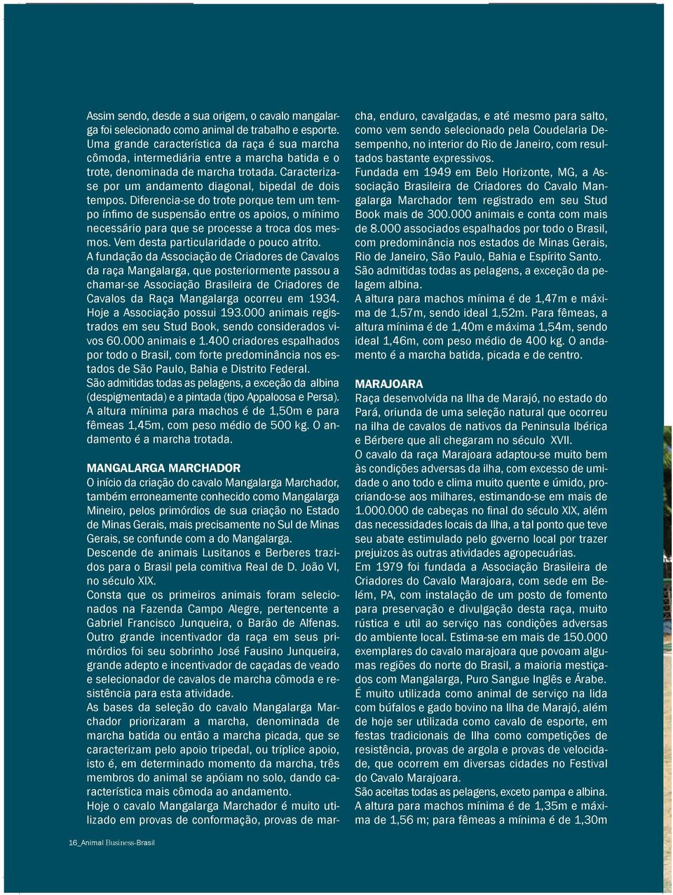 Diferencia-se do trote porque tem um tempo ínfimo de suspensão entre os apoios, o mínimo necessário para que se processe a troca dos mesmos. Vem desta particularidade o pouco atrito.