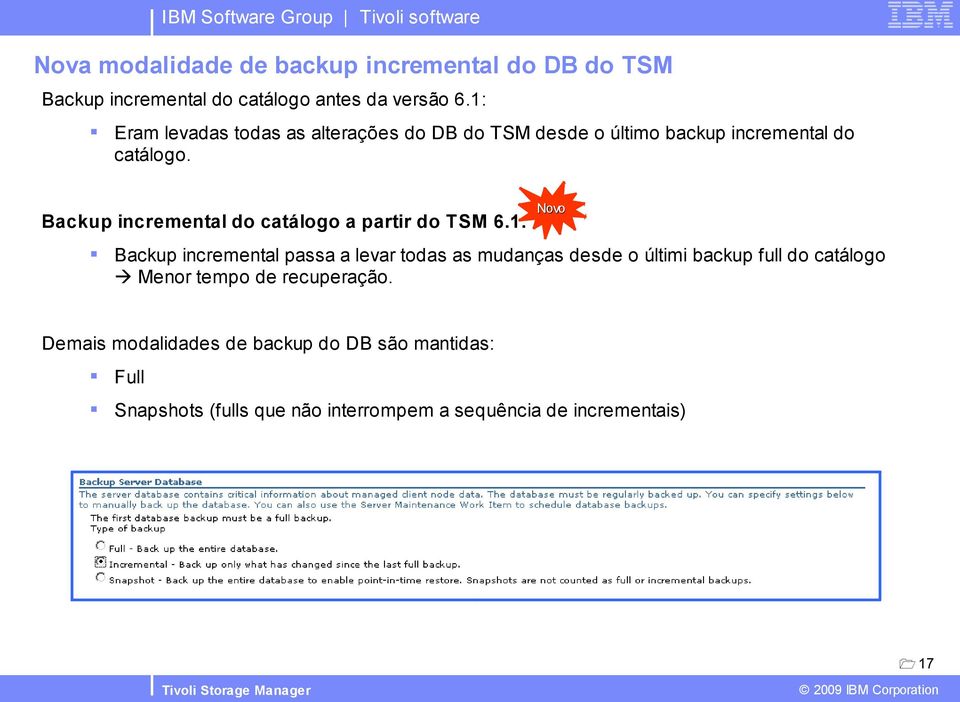 Backup incremental do catálogo a partir do TSM 6.