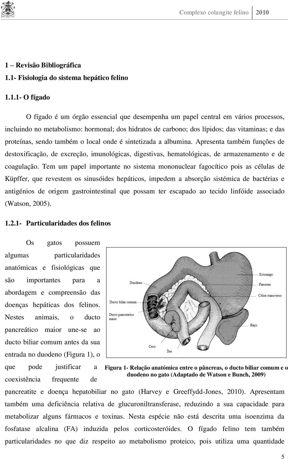 Apresenta também funções de destoxificação, de excreção, imunológicas, digestivas, hematológicas, de armazenamento e de coagulação.