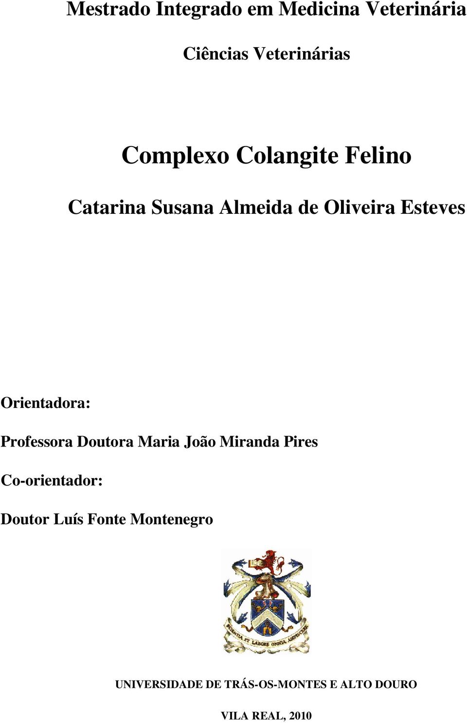 Professora Doutora Maria João Miranda Pires Co-orientador: Doutor Luís