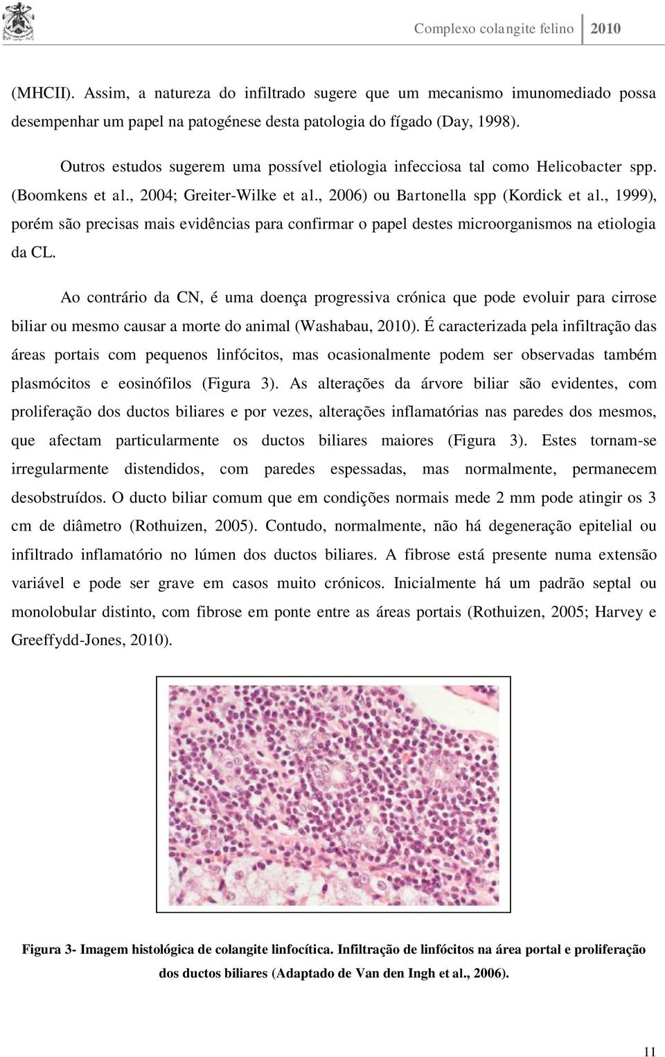 , 1999), porém são precisas mais evidências para confirmar o papel destes microorganismos na etiologia da CL.