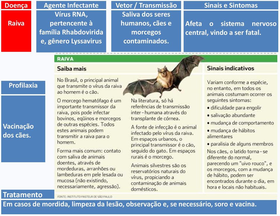 Sinais e Sintomas Afeta o sistema nervoso central, vindo a ser fatal.