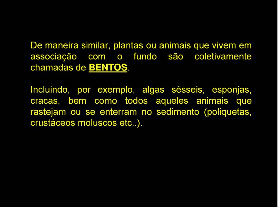 Incluindo, por exemplo, algas sésseis, esponjas, cracas, bem como