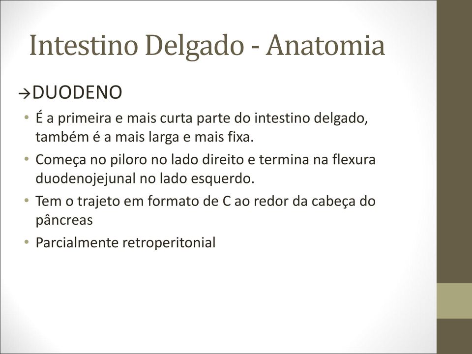 Começa no piloro no lado direito e termina na flexura duodenojejunal no