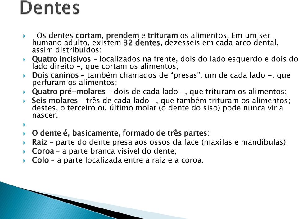 cortam os alimentos; Dois caninos também chamados de presas, um de cada lado -, que perfuram os alimentos; Quatro pré-molares dois de cada lado -, que trituram os alimentos; Seis molares