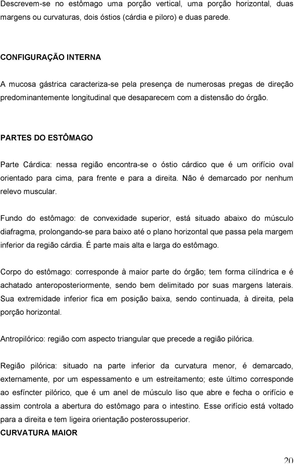 PARTES DO ESTÔMAGO Parte Cárdica: nessa região encontra-se o óstio cárdico que é um orifício oval orientado para cima, para frente e para a direita. Não é demarcado por nenhum relevo muscular.