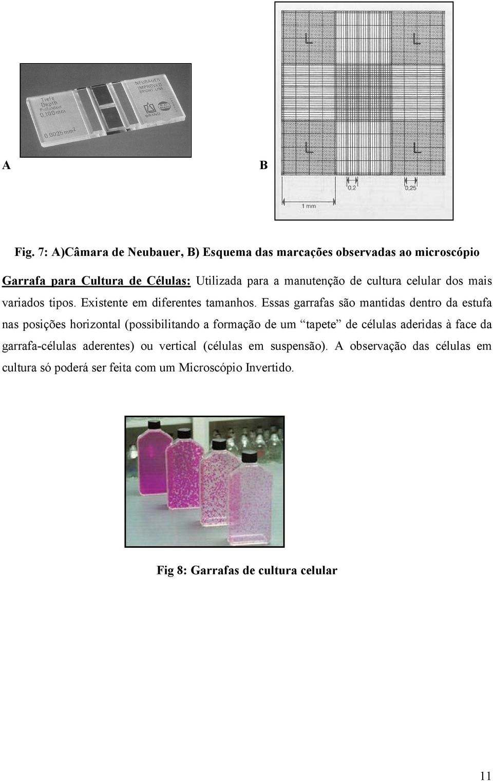 de cultura celular dos mais variados tipos. Existente em diferentes tamanhos.