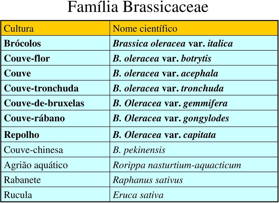 oleracea var. botrytis B. oleracea var. acephala B. oleracea var. tronchuda B. Oleracea var. gemmifera B.