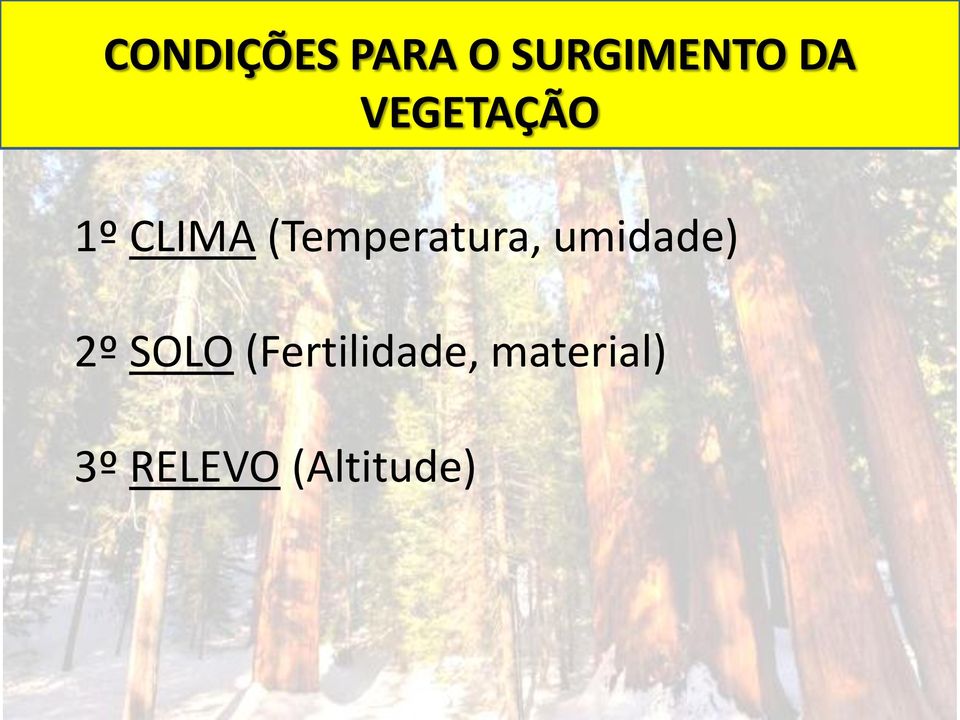 (Temperatura, umidade) 2º SOLO