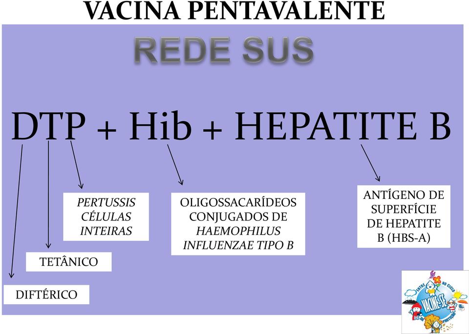 OLIGOSSACARÍDEOS CONJUGADOS DE HAEMOPHILUS