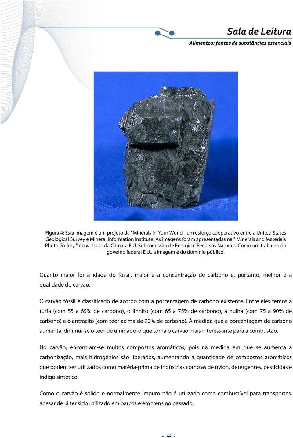 Quanto maior for a idade do fóssil, maior é a concentração de carbono e, portanto, melhor é a qualidade do carvão. O carvão fóssil é classificado de acordo com a porcentagem de carbono existente.