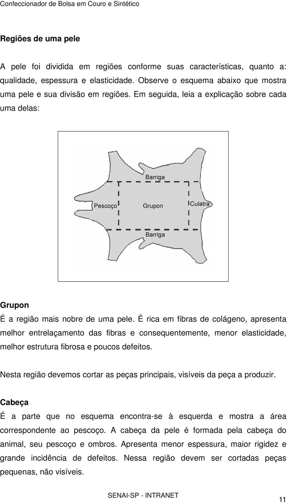 É rica em fibras de colágeno, apresenta melhor entrelaçamento das fibras e consequentemente, menor elasticidade, melhor estrutura fibrosa e poucos defeitos.