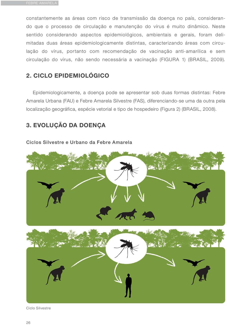 recomendação de vacinação anti-amarílica e sem circulação do vírus, não sendo necessária a vacinação (FIGURA 1) (BRASIL, 20