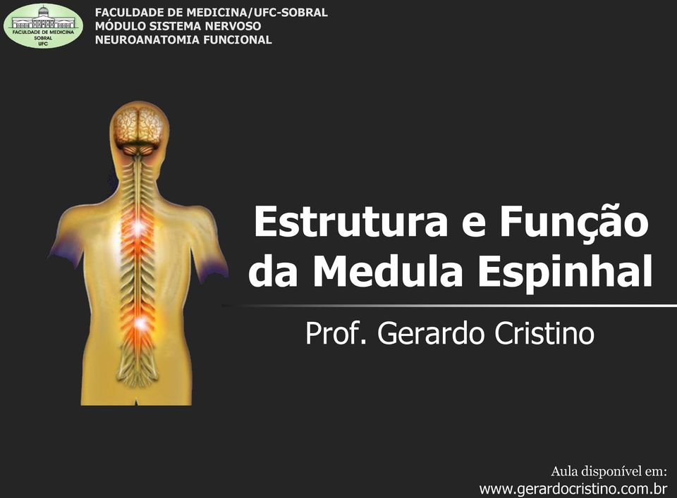 Estrutura e Função da Medula Espinhal Prof.