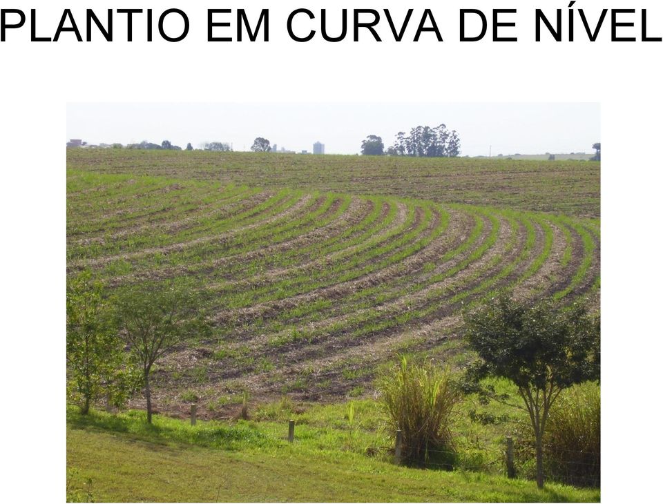 DE NÍVEL