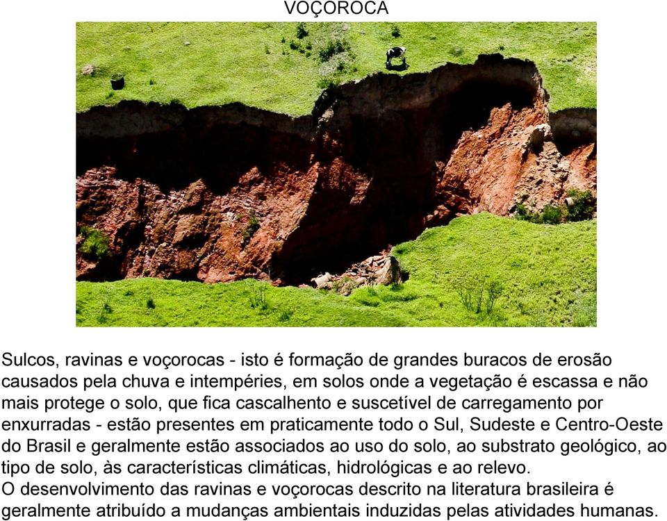 Centro-Oeste do Brasil e geralmente estão associados ao uso do solo, ao substrato geológico, ao tipo de solo, às características climáticas, hidrológicas e