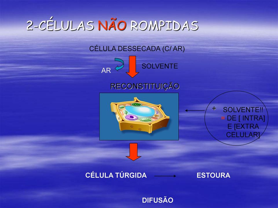 RECONSTITUIÇÃO + SOLVENTE!