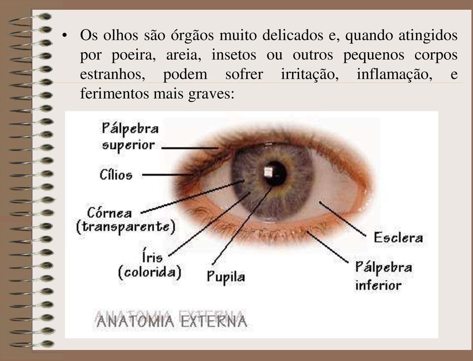 outros pequenos corpos estranhos, podem