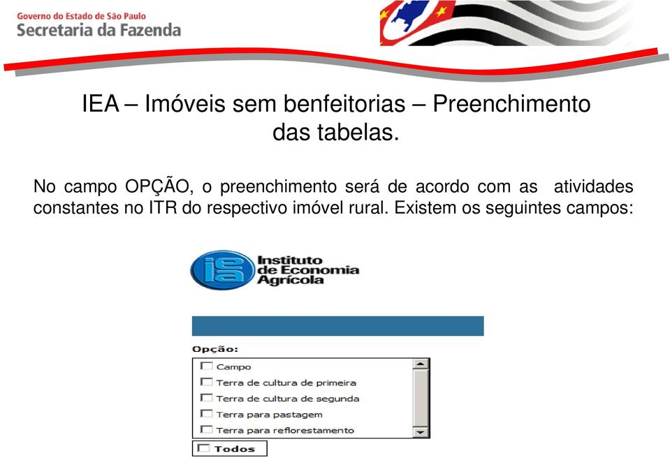 No campo OPÇÃO, o preenchimento será de acordo