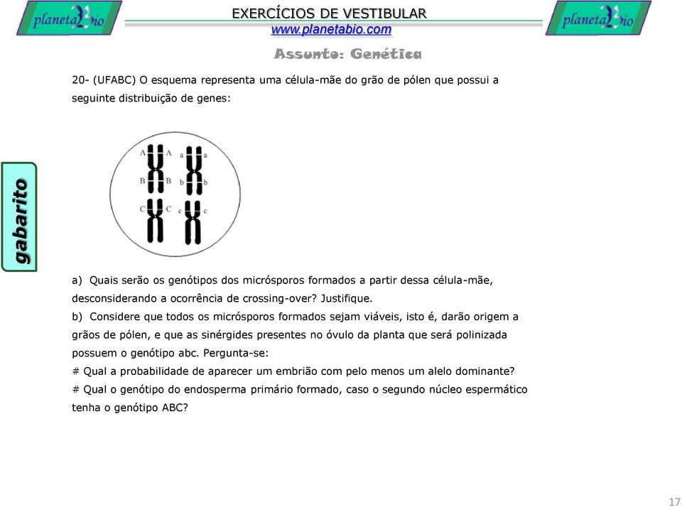 b) Considere que todos os micrósporos formados sejam viáveis, isto é, darão origem a grãos de pólen, e que as sinérgides presentes no óvulo da planta que será