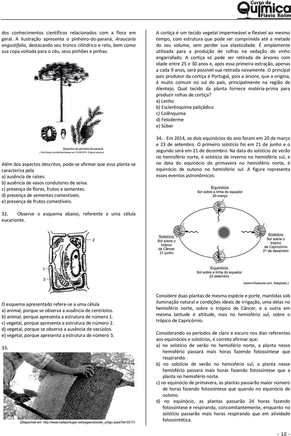 Além dos aspectos descritos, pode-se afirmar que essa planta se caracteriza pela a) ausência de raízes. b) ausência de vasos condutores de seiva. c) presença de flores, frutos e sementes.