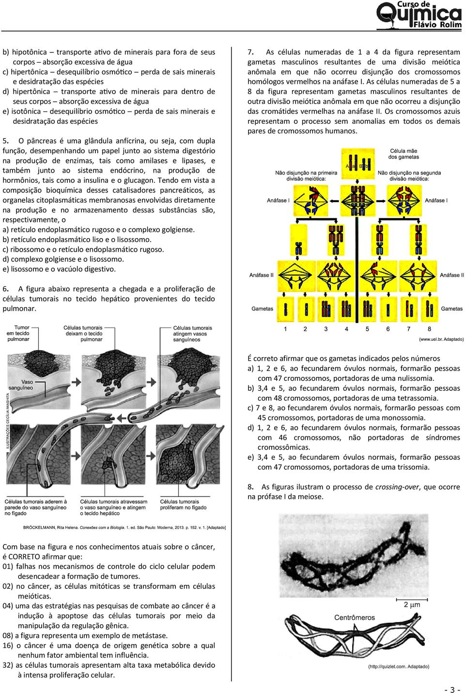 O pâncreas é uma glândula anfícrina, ou seja, com dupla função, desempenhando um papel junto ao sistema digestório na produção de enzimas, tais como amilases e lipases, e também junto ao sistema