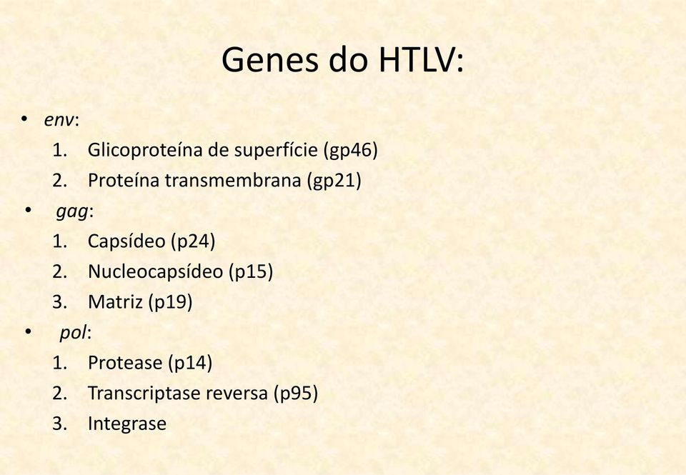 Proteína transmembrana (gp21) gag: 1. Capsídeo (p24) 2.