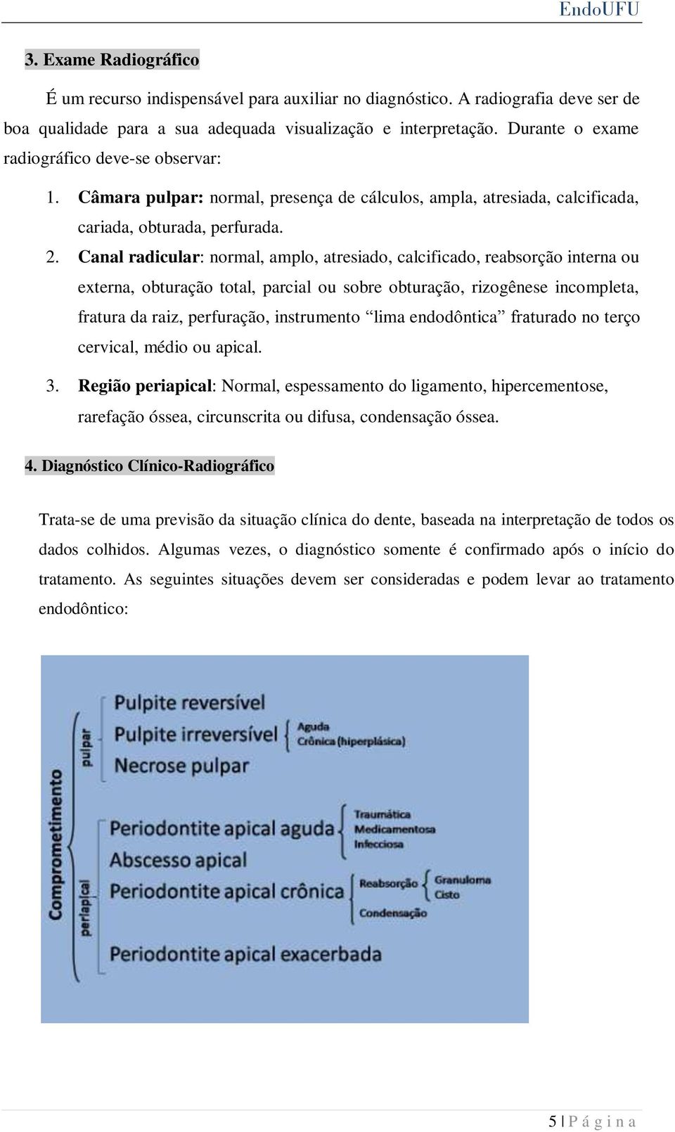 Canal radicular: normal, amplo, atresiado, calcificado, reabsorção interna ou externa, obturação total, parcial ou sobre obturação, rizogênese incompleta, fratura da raiz, perfuração, instrumento