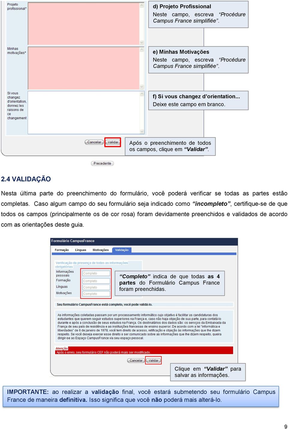 4 VALIDAÇÃO Nesta última parte do preenchimento do formulário, você poderá verificar se todas as partes estão completas.