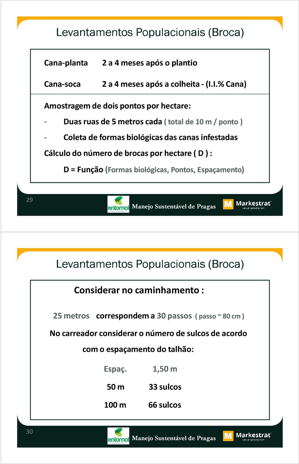 Cálculo do número de brocas por hectare ( D ) : D = Função (Formas biológicas, Pontos, Espaçamento) 29 Levantamentos Populacionais (Broca) Considerar no