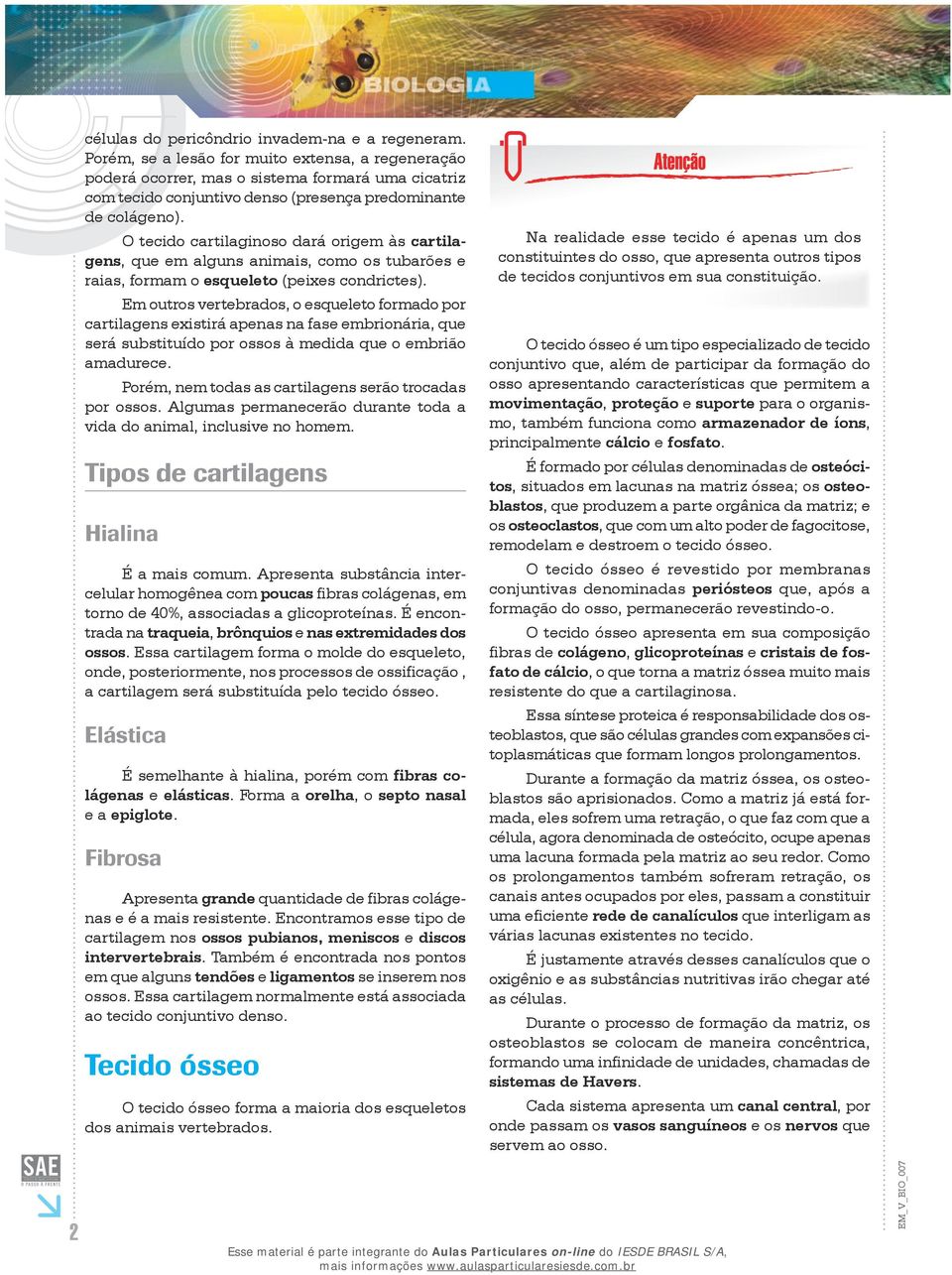 O tecido cartilaginoso dará origem às cartilagens, que em alguns animais, como os tubarões e raias, formam o esqueleto (peixes condrictes).