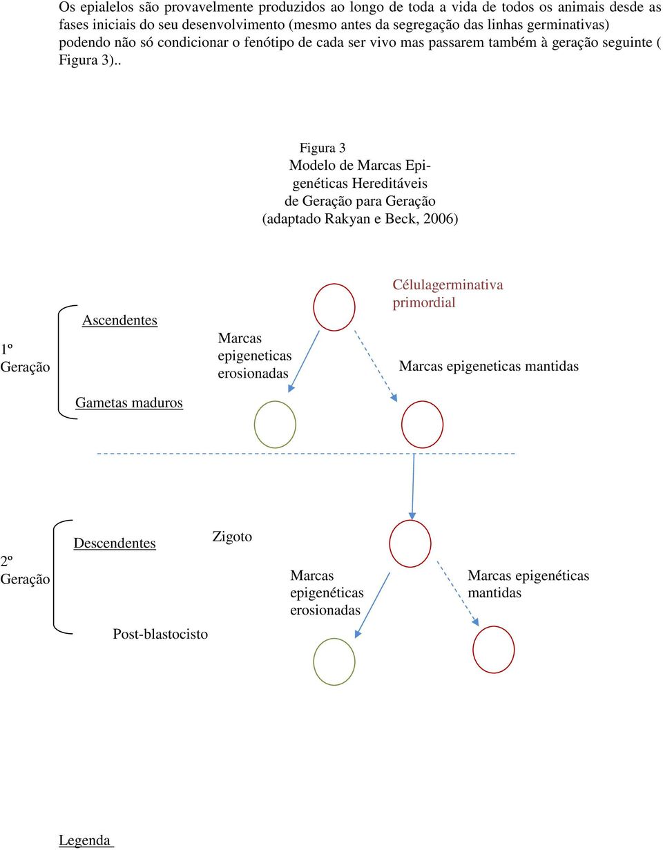 . Figura 3 Modelo de Marcas Epigenéticas Hereditáveis de Geração para Geração (adaptado Rakyan e Beck, 2006) 1º Geração Ascendentes Marcas epigeneticas
