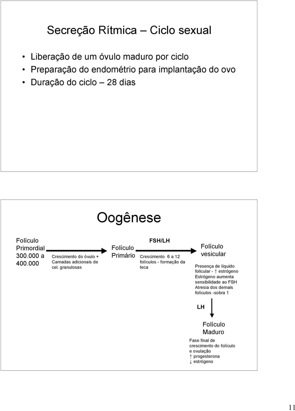 granulosas Folículo Primário FSH/LH Crescimento 6 a 12 folículos - formação da teca Folículo vesicular Presença de líquido folicular -