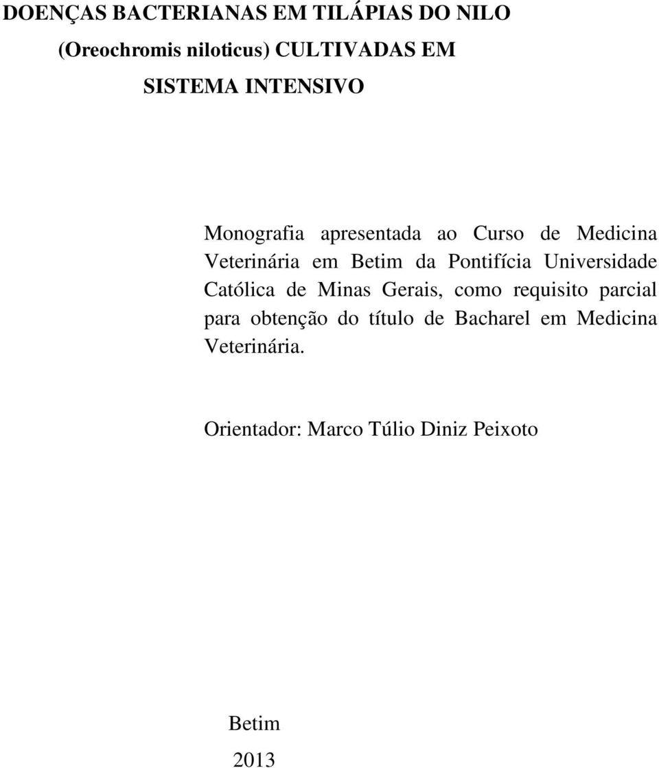 Pontifícia Universidade Católica de Minas Gerais, como requisito parcial para obtenção