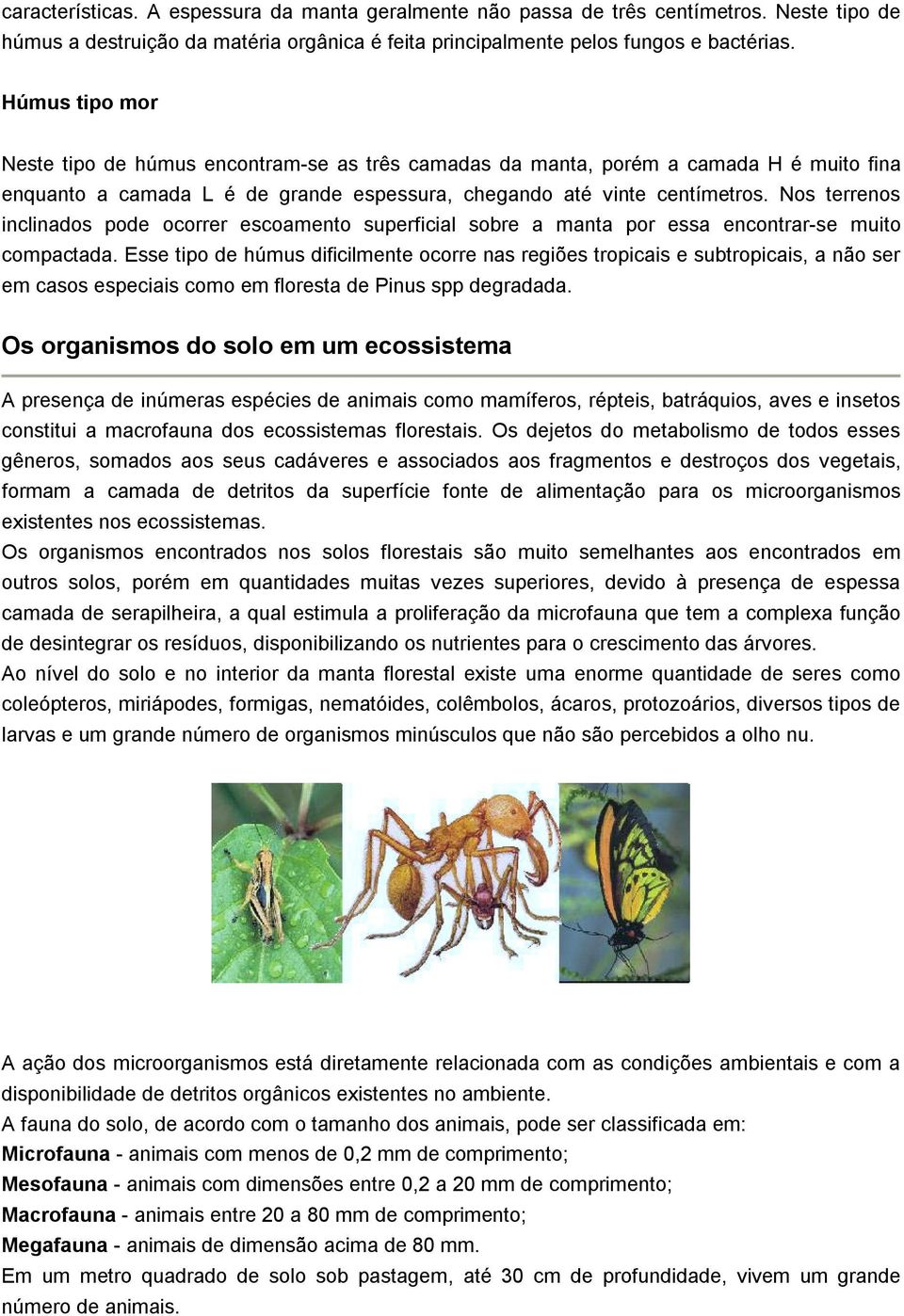 Nos terrenos inclinados pode ocorrer escoamento superficial sobre a manta por essa encontrar-se muito compactada.