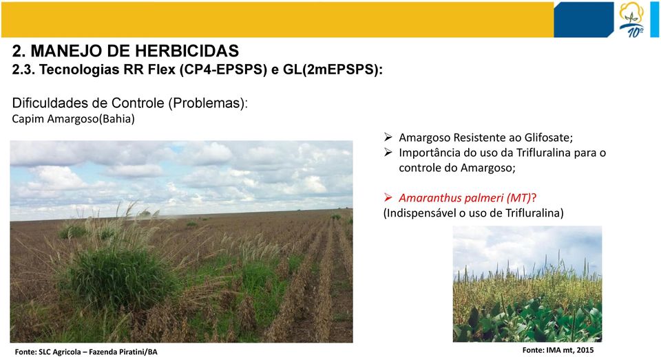 Capim Amargoso(Bahia) Amargoso Resistente ao Glifosate; Importância do uso da
