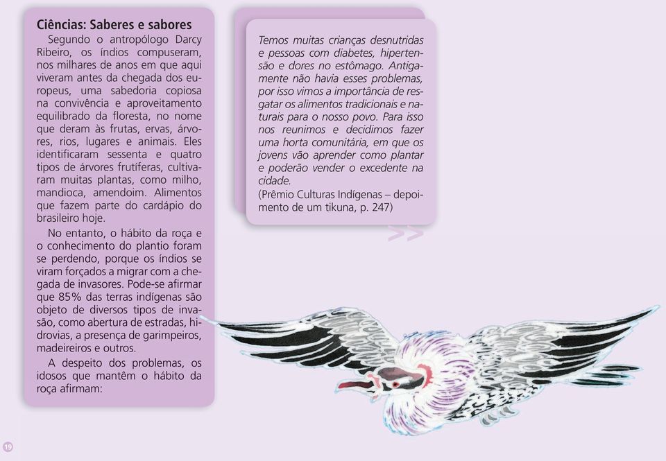 Eles identificaram sessenta e quatro tipos de árvores frutíferas, cultivaram muitas plantas, como milho, mandioca, amendoim. Alimentos que fazem parte do cardápio do brasileiro hoje.