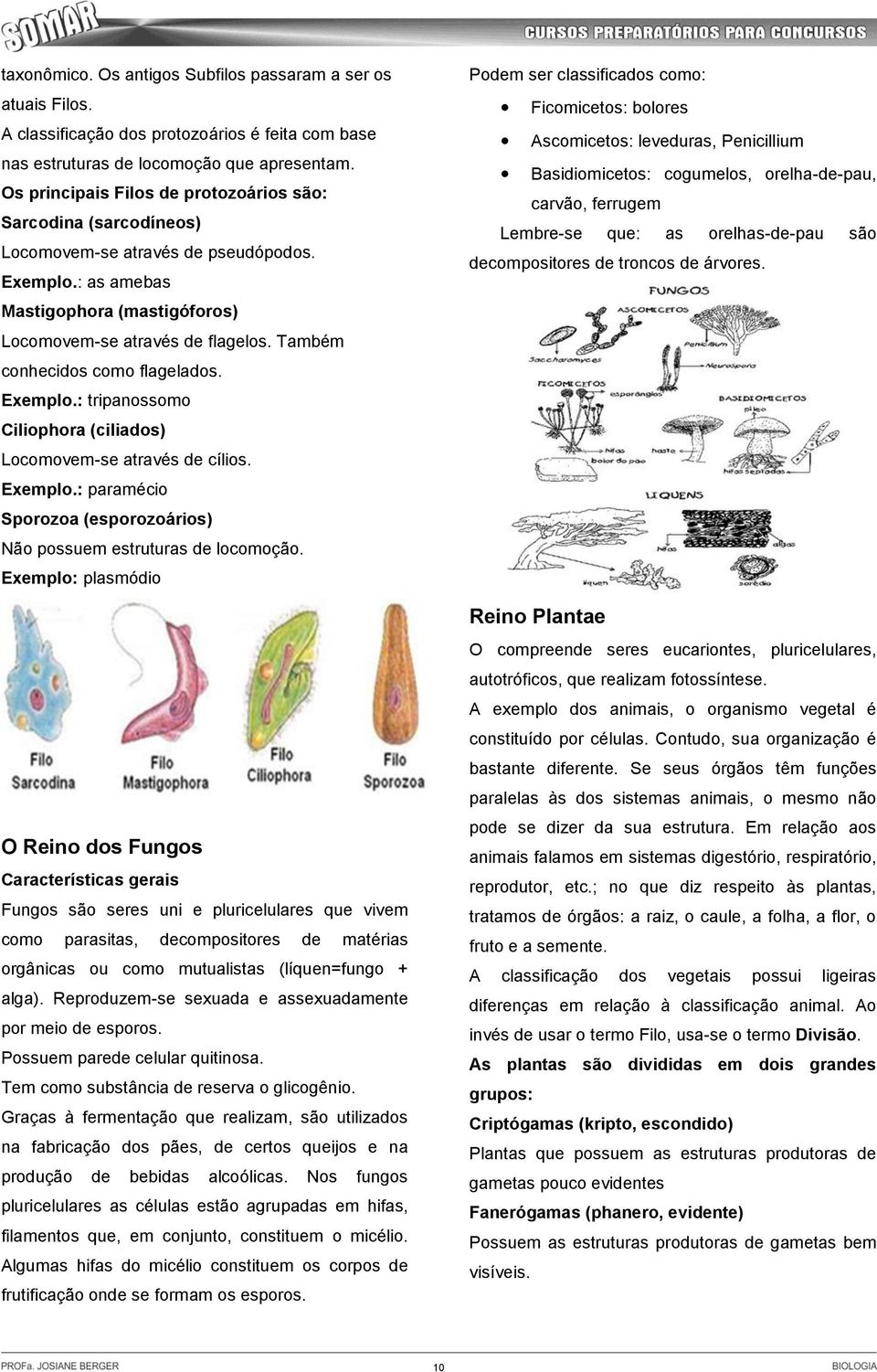 Também conhecidos como flagelados. Exemplo.: tripanossomo Ciliophora (ciliados) Locomovem-se através de cílios. Exemplo.: paramécio Sporozoa (esporozoários) Não possuem estruturas de locomoção.