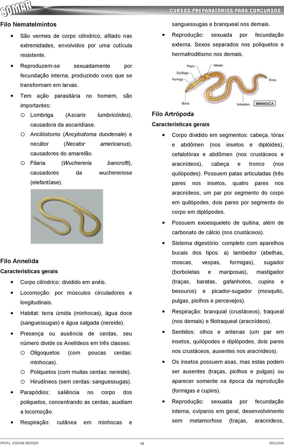 Tem ação parasitária no homem, são importantes: Lombriga (Ascaris lumbricóides), causadora da ascaridíase. Ancilóstomo (Ancylostoma duodenale) e necátor (Necator americanus), causadores do amarelão.